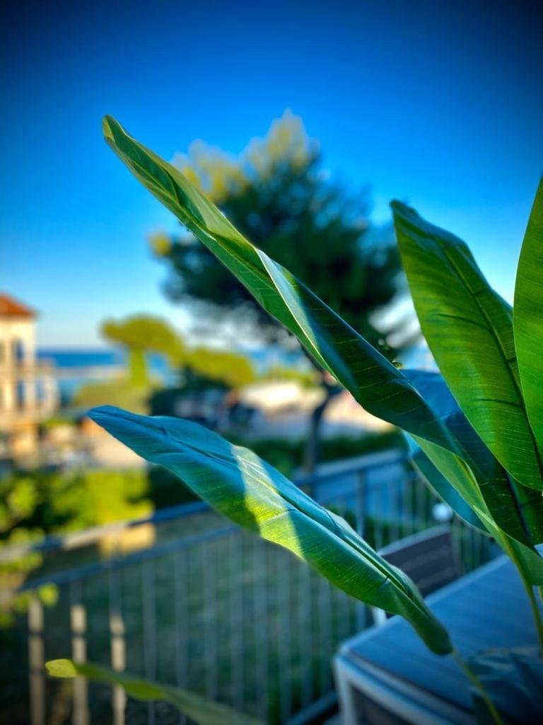La Marinella Daire Massignano Oda fotoğraf